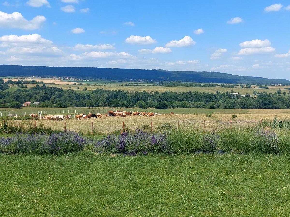Panorama House Brdy Villa Příbram Dış mekan fotoğraf